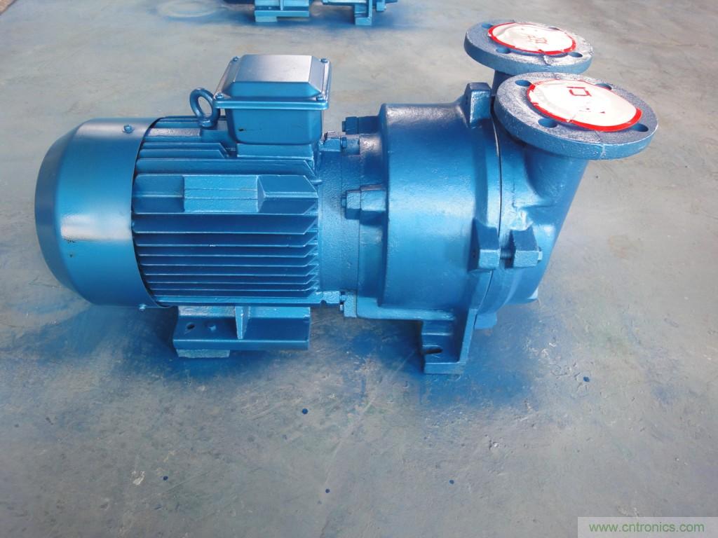 美國B(niǎo)LACKMER軟管泵